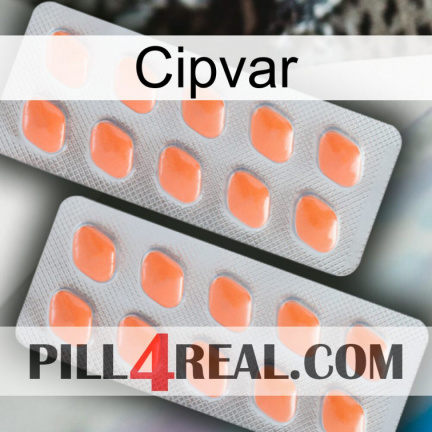 Cipvar 27